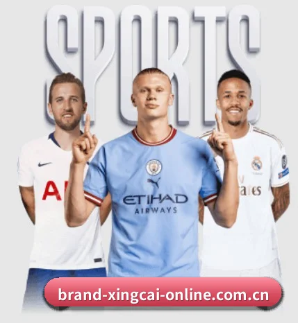 公司成立